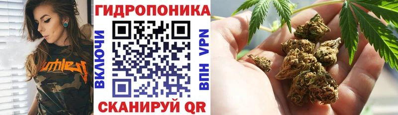 Магазины продажи наркотиков Воткинск Псилоцибиновые грибы МЕФ A-PVP ГАШ KRAKEN ONION Конопля