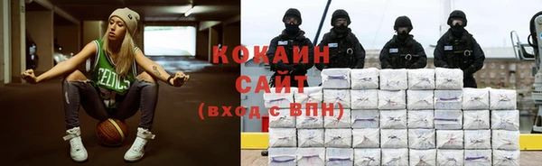 хмурый Белокуриха