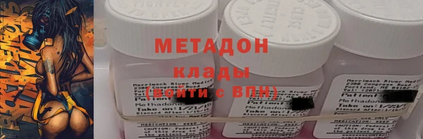 хмурый Белокуриха