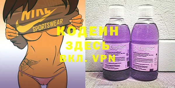 хмурый Белокуриха