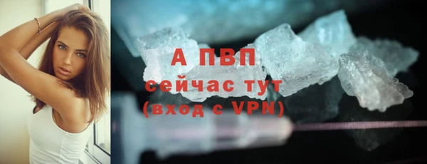 хмурый Белокуриха