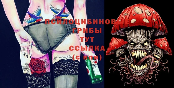 хмурый Белокуриха