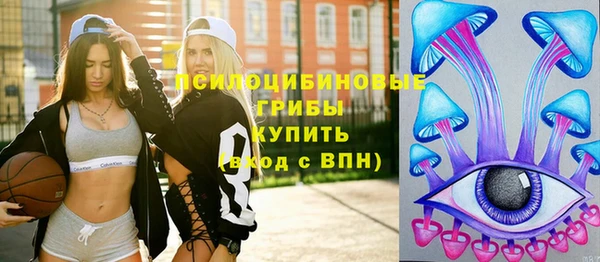 хмурый Белокуриха