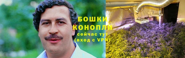 хмурый Белокуриха
