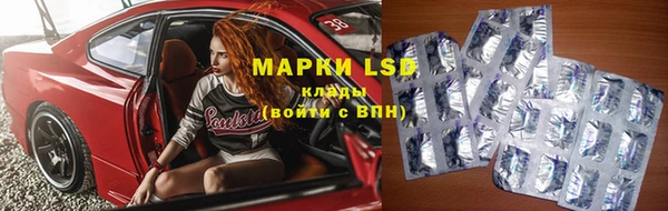 хмурый Белокуриха
